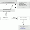 Card viewer extended schema en.gif